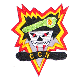 CCN/color - Military Patches and Pins