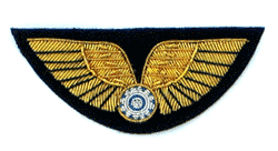 AVG 3" Bullion Wing - Military Patches and Pins