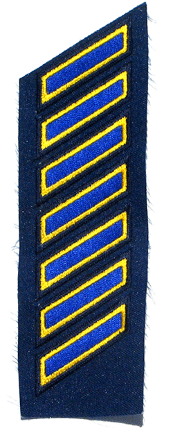 7 Service Stripes - Military Patches and Pins