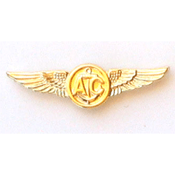 Mini Air Crew Pin - 2 clutches - Military Patches and Pins