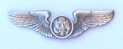 AAF Air Crew Pewter Wing 2" w/2 clutches - Military Patches and Pins