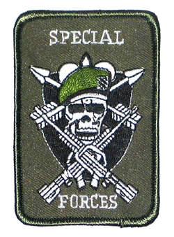 Special Forces Skull - Military Patches and Pins
