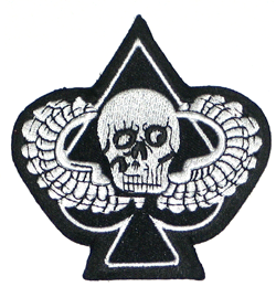 Winged Skull Ace - Military Patches and Pins