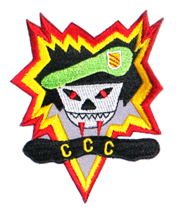 CCC/Color - Military Patches and Pins