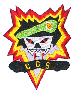CCS/Color - Military Patches and Pins