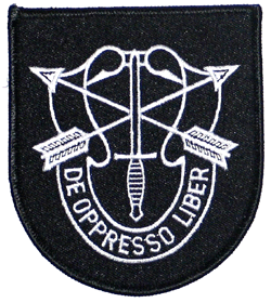 Special Forces/DOL/Black - Military Patches and Pins