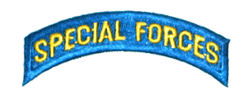 Special Forces/teal &amp; yellow - Military Patches and Pins