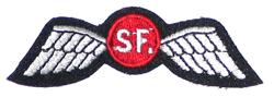 OSS Wing/Special Forces - Military Patches and Pins
