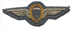 German Airborne Wing/Bullion - Military Patches and Pins
