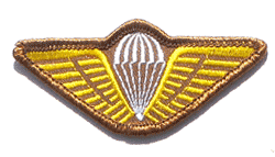 Sudan Para Wing - Military Patches and Pins