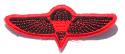 Israeli Para Wing/Red - Military Patches and Pins
