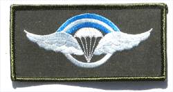 Argentine Para Sr. - Military Patches and Pins