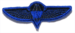 Israeli Para Wing/Blue - Military Patches and Pins