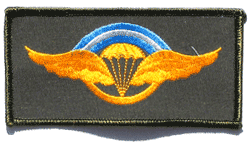 Argentine Para Ms - Military Patches and Pins