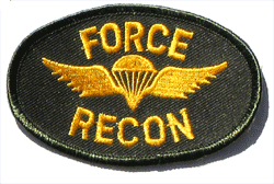 Force Recon oval Sub'd. - Military Patches and Pins
