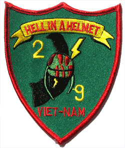 2nd Bn 9th Marines - Military Patches and Pins
