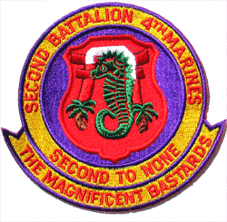 2nd Bn 4th Marines - Military Patches and Pins