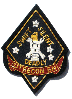 1st Recon Bn/Bullion - Military Patches and Pins