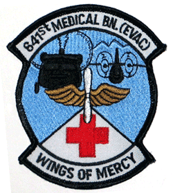 641st Medical Bn - Wings of Mercy - Military Patches and Pins