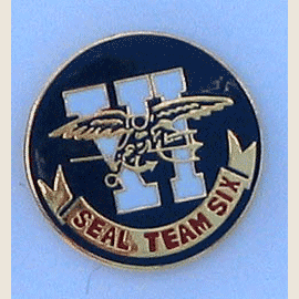 Navy Seal Team 6 Pin w/1 clutch - Military Patches and Pins