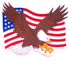 US Flag w/Eagle 9&quot; - Military Patches and Pins