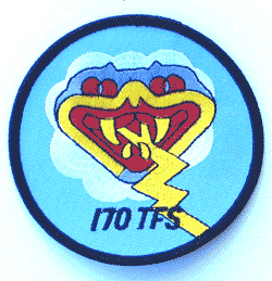 170th TFS - Military Patches and Pins
