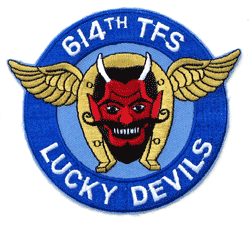 614th TFS Lucky Devils - Military Patches and Pins