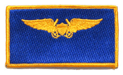 Navy NFO Wing - Military Patches and Pins