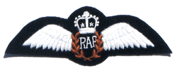Royal AF Pilot/Queens Crown - Military Patches and Pins