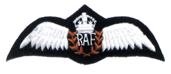 Royal AF Pilot/Kings Crown - Military Patches and Pins