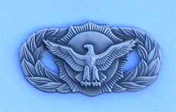 AF Security Police Pin w/2 clutches - Military Patches and Pins