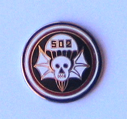 502nd Airborne Inf. Skull Pin w/2 clutches - Military Patches and Pins