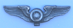 Balloon Wing Sterling Pin w/pin backing - Military Patches and Pins