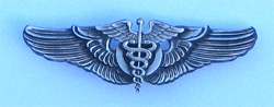 Flight Surgeon Sterling Pin w/pin backing - Military Patches and Pins