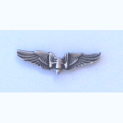 AAF Gunner Wing 2" Pewter w/1 clutch - Military Patches and Pins