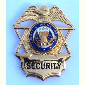 Security Badge Gold w/1 clutch and Screw Backing - Military Patches and Pins