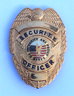 Security Officer w/Eagle and Pin Backing - Military Patches and Pins