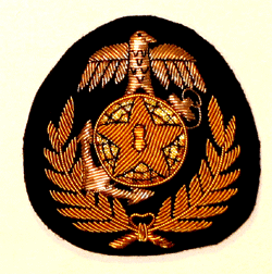 Thunderbird & Anchor Bullion - Military Patches and Pins