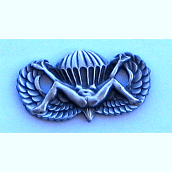 Night Jumper w/2 clutches - Military Patches and Pins