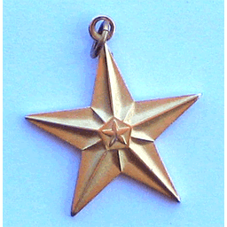 Gold Matte Star w/attachment for ribbon or chain - Military Patches and Pins