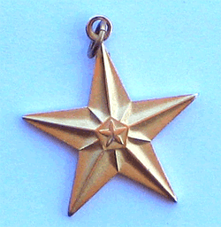 Gold Matte Star w/attachment for ribbon or chain - Military Patches and Pins
